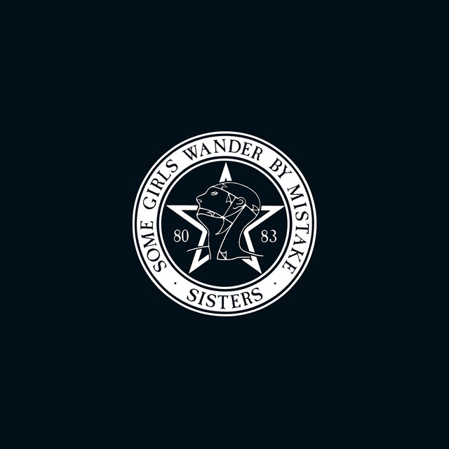 Some Girls Wander by Mistake cover